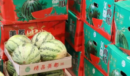 阳江吃瓜最新事件爆料,揭秘背后惊人真相