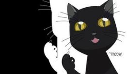 猫的动漫,动漫猫界的奇幻冒险之旅